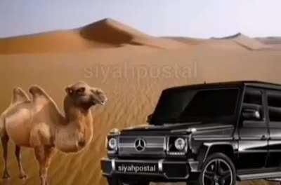 Mami durur mu yapıstırmış cevabı.