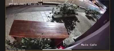 I'll just ride this Escooter, WCGW?