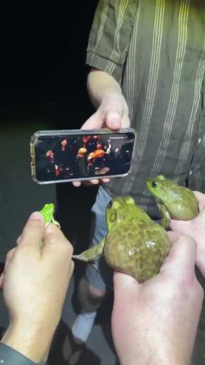 ᵉⁿᵛⁱᵃᵈᵒ ᵖᵒʳ ᶜᵃᵗᵇʳⁱˢᵃᵈᵒ