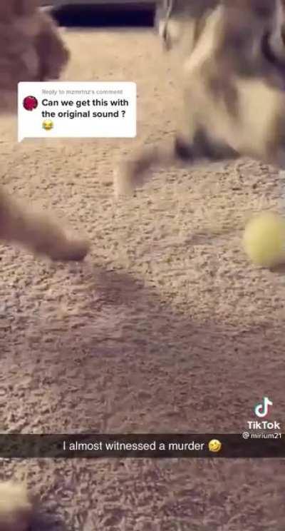 It belongs to me now