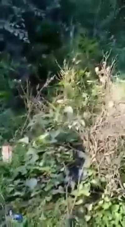 I didn't see that coming.