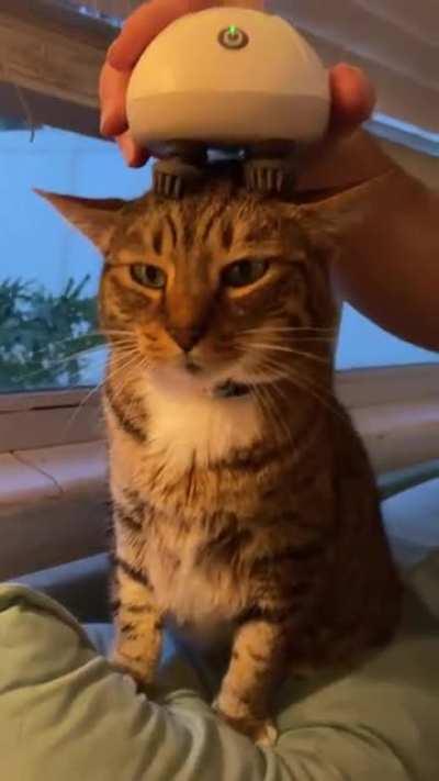 My husband got a head massager for our 3 legged cat, Tater. She’s obsessed.
