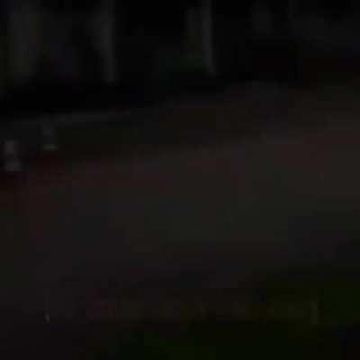 Macaco macaco se foi 😭👌