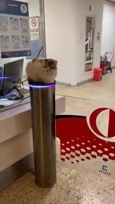 Highest security level