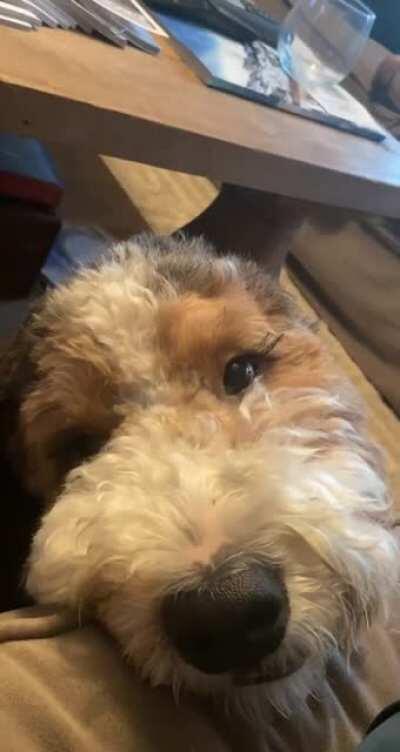 Look at his sweet lil face