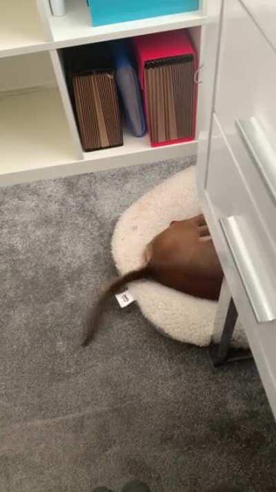 Someone’s having a good dream 😍