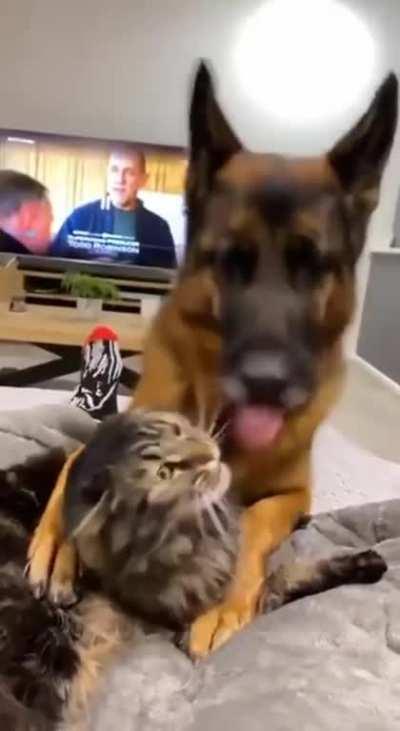 Can't take NO! for an answer..