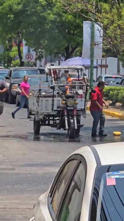 Que animal noble la Coca Cola