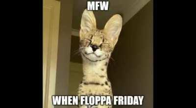 Happy floppa friday!