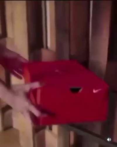 The only Nikes I can afford