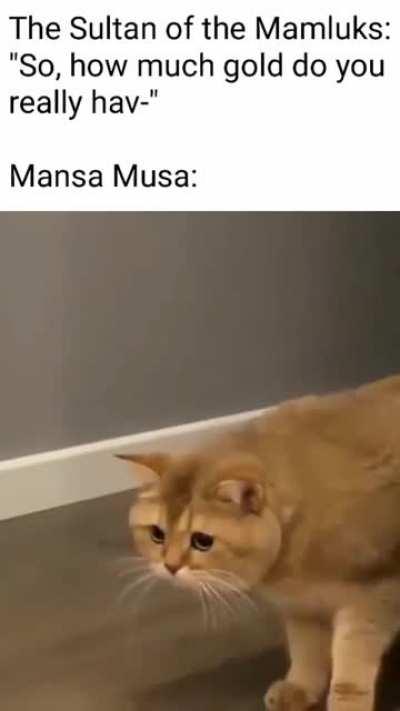 You fool, you made him use 5% of his power