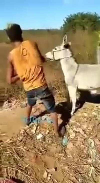 skeleton can't play piano