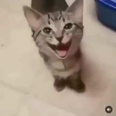 😃🙂 maravilhoso