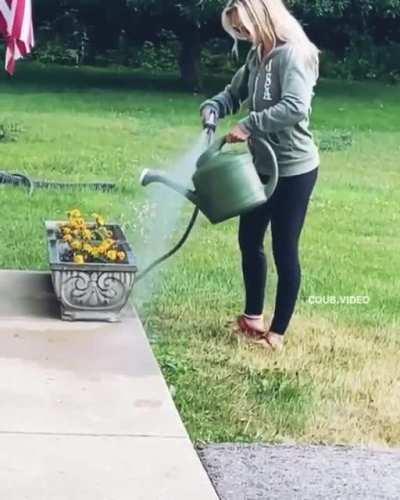 Watering the plants