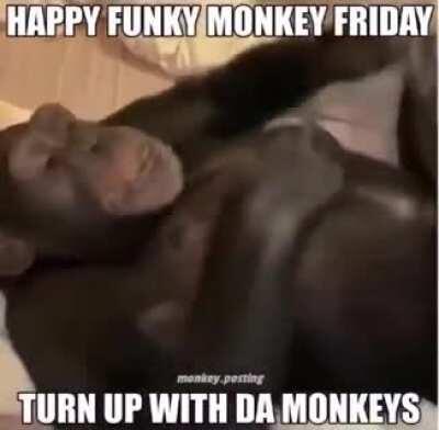 HAPPY FUNKY MONKEY FRIDAY!!!🤪🦧