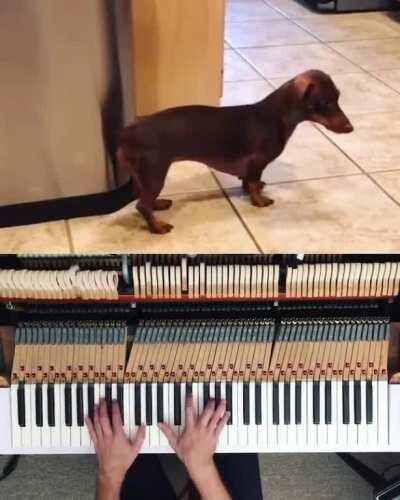 Found it on reddit, added some piano.