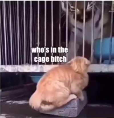 Interactions between Soldier boy and Homelander be like :