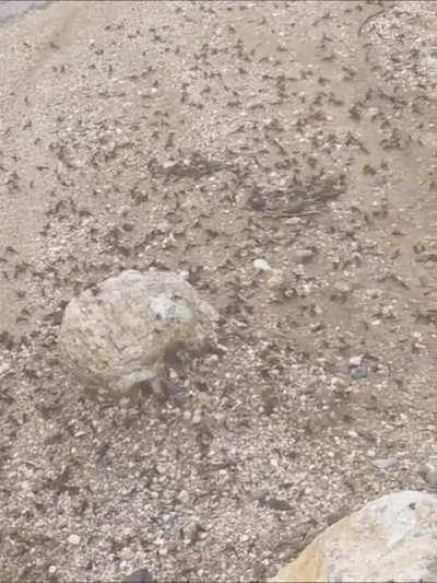 So I went to get the trashcan....