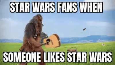 No one hates star wars more than star wars fans
