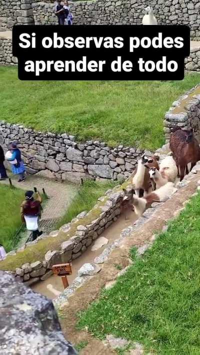 4 types of facing a problem