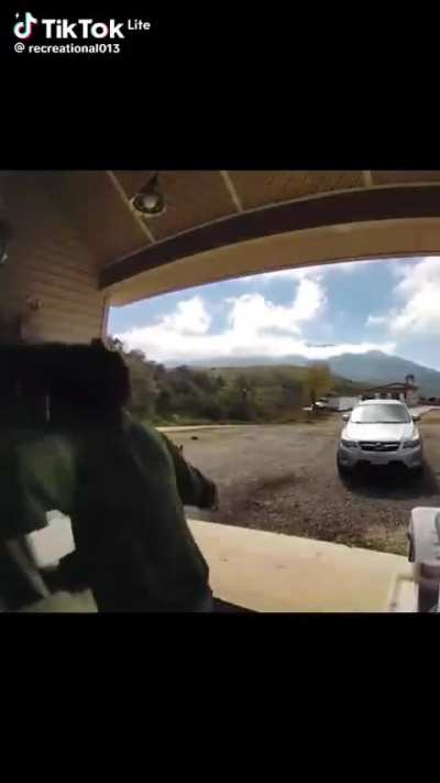 Kid tries to walk his dog