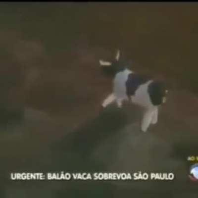 Ataque bio Terrorista.