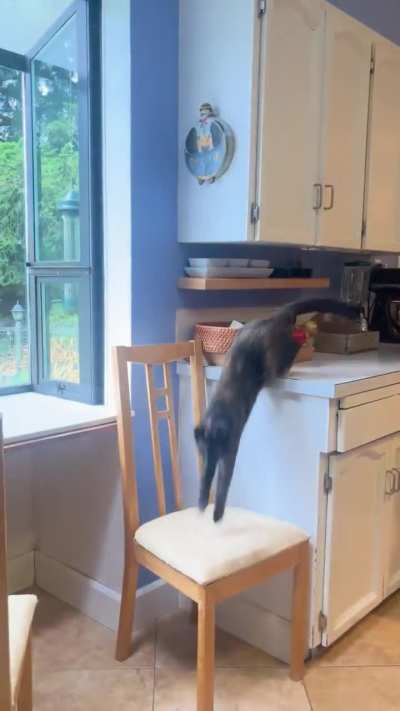 Binky in the bowl action drill.