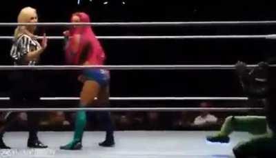 Sasha Banks Twerking (House Show)
