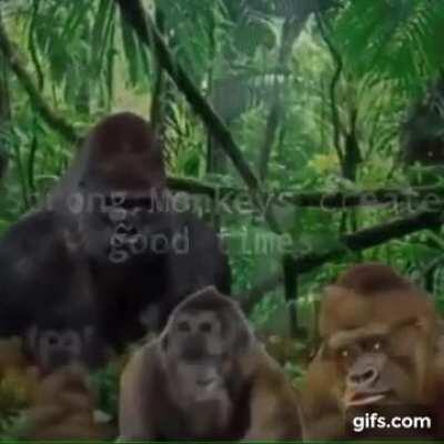 2020 bad, monkey strong