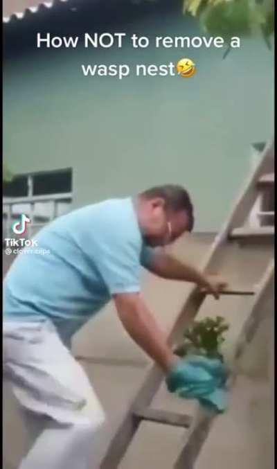 The shear stupidity is what made me chuckle 🤣