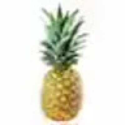 P I N E A P P L E
