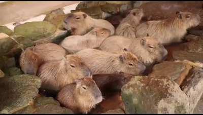 A relaxing bath to start 2021 right!