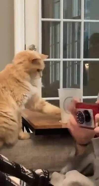 You and your stupid fancy popsocket phone... take that