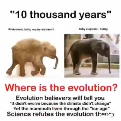 Evolution is judeo-masonic silly goose nonsense