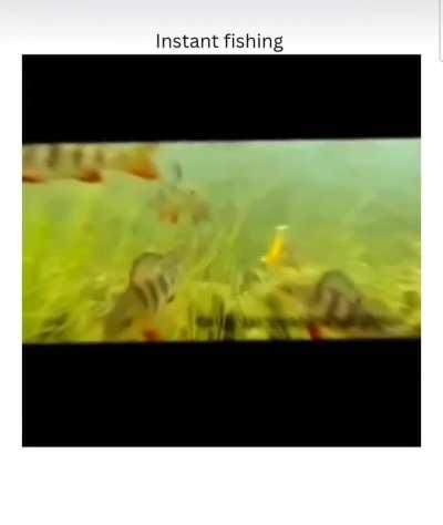 Instant fishing