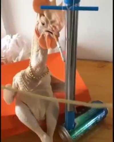 Orson dando una serenata a Abby en Navidad 😎❤️