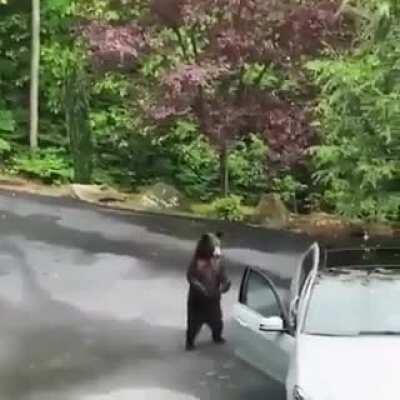 The perfect crime...