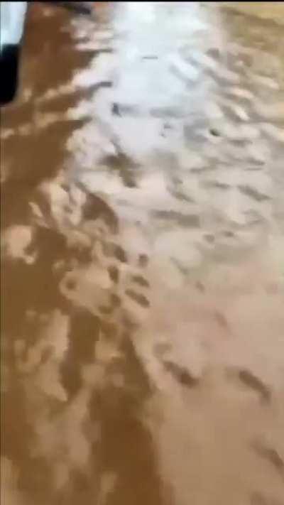 飞翔的荷兰海盗