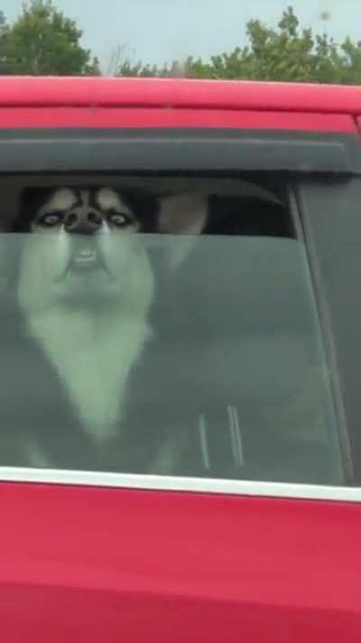 Traffic jam shenanigans