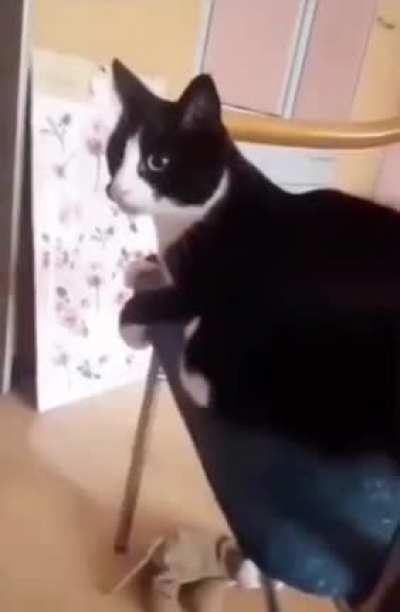 Heavy face slam from tail