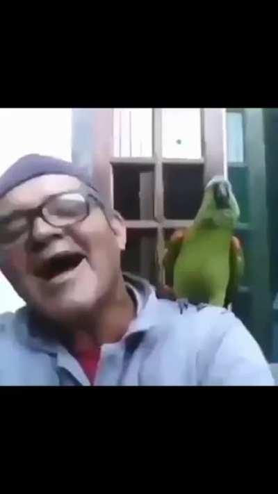 Aa HAHAHA…. AAAAAAAA