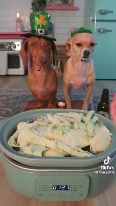 They absolutely loved St. Patrick's Day
