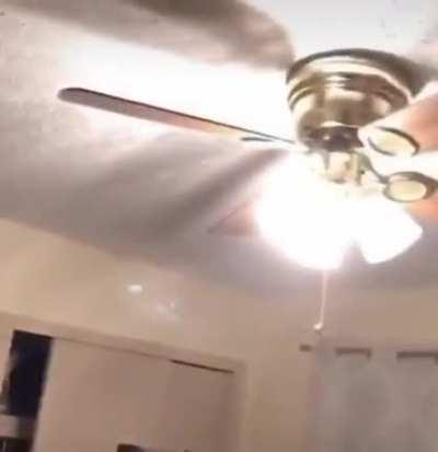 Перепутали