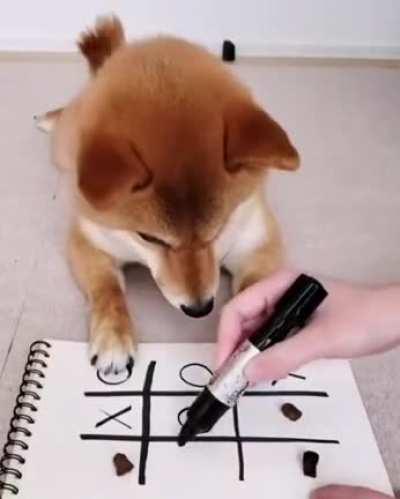 Blessed pupper plays Tic-Tac-Toe