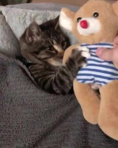 Good Night, Little Friend!