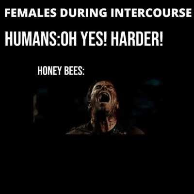 Sorry for the bad editing.I am new to making video memes