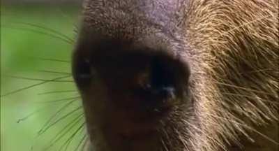 straight vibin over here 🥶👌🔥🔥🔥😤👊