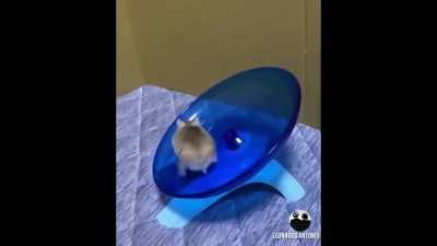 Saw this in r/funny , had to fix it. Credits to u/chiethu