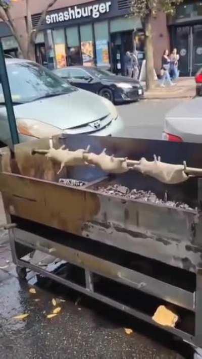Rotisserie Rats being sold in Queens, NY.
