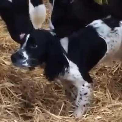 One of us! One of us!